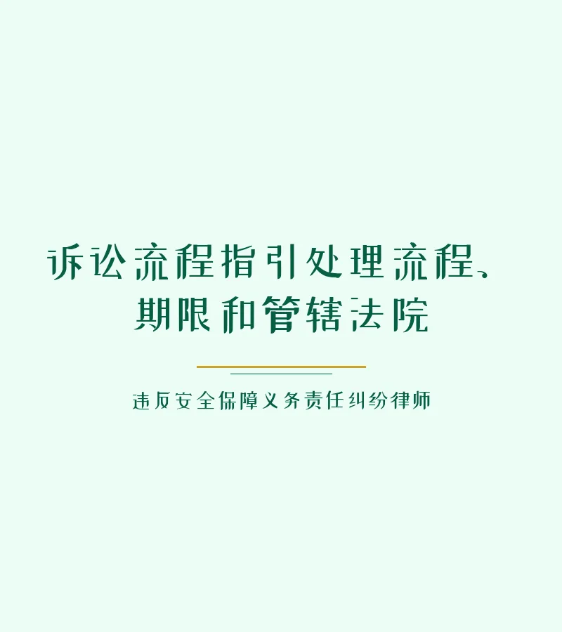 诉讼流程指引处理流程、期限和管辖法院