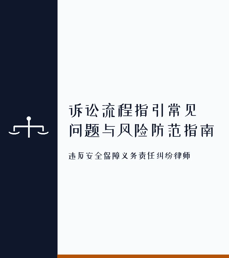 诉讼流程指引常见问题与风险防范指南